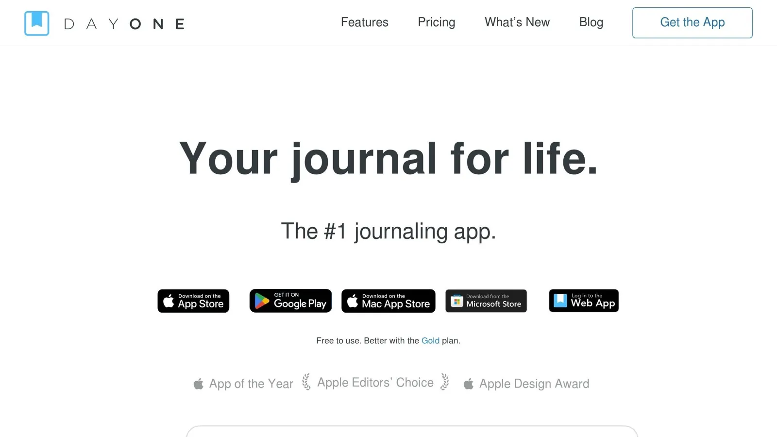 Day One website screenshot