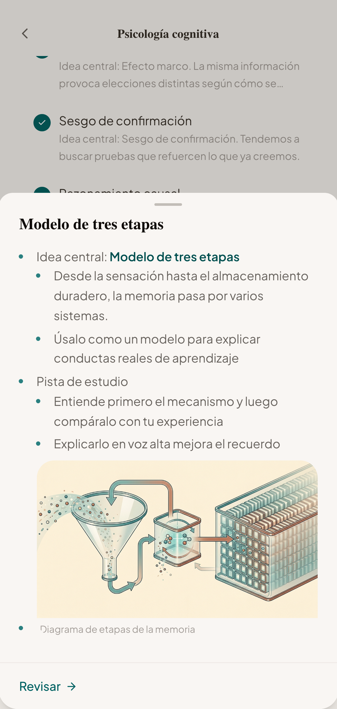 Henri knowledge cards